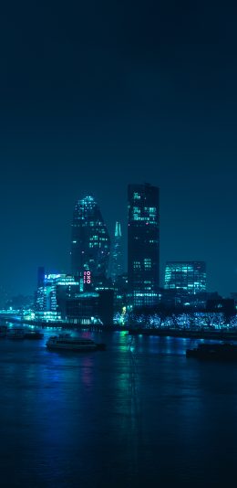 [2436x1125]夜景 江面 城市 灯光 江面 苹果手机壁纸图片