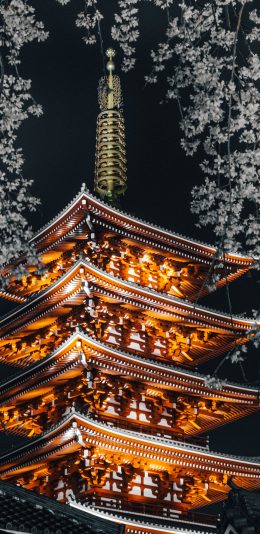[2436x1125]夜景 灯光 日本 浅草寺 寺庙 苹果手机壁纸图片