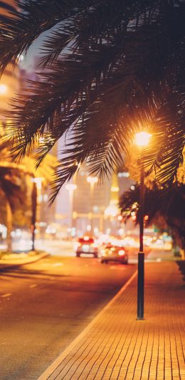 [2436x1125]夜景 灯光 街灯 绿植 苹果手机壁纸图片