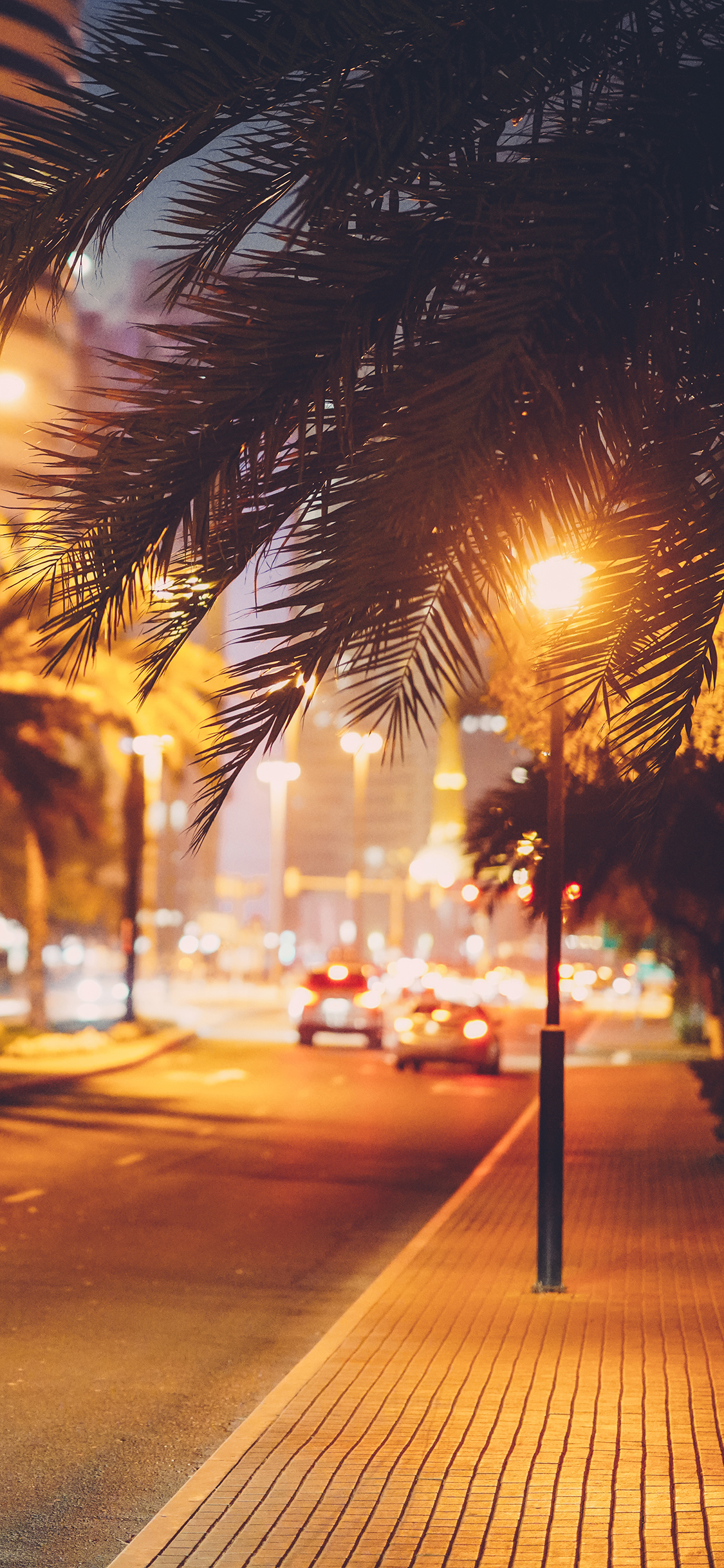 [2436×1125]夜景 灯光 街灯 绿植 苹果手机壁纸图片