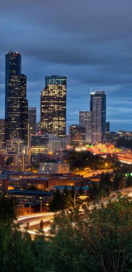 [2436x1125]夜景 繁华都市 灯光 苹果手机壁纸图片