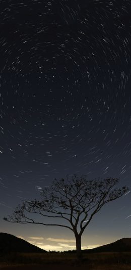 [2436x1125]夜空美景 光圈 树木 苹果手机壁纸图片