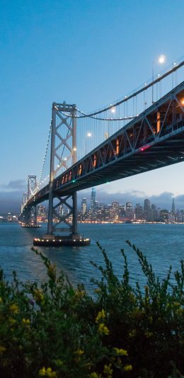 [2436x1125]大桥 桥梁 傍晚 江面 苹果手机壁纸图片