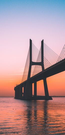 [2436x1125]大桥 桥梁 落日 海水 苹果手机壁纸图片