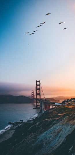 [2436x1125]大桥 金门大桥 天空 海岸 苹果手机壁纸图片