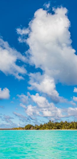 [2436x1125]大海 岛屿 蓝莓 白云 苹果手机壁纸图片