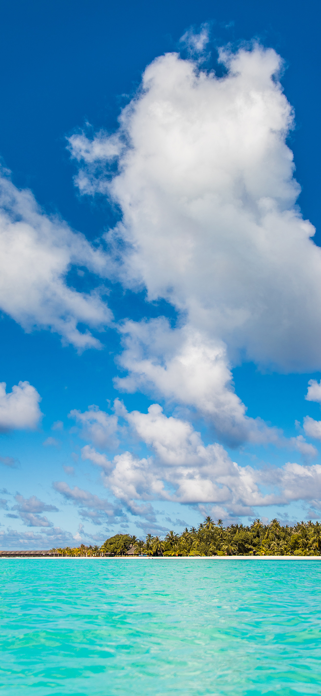 [2436×1125]大海 岛屿 蓝莓 白云 苹果手机壁纸图片