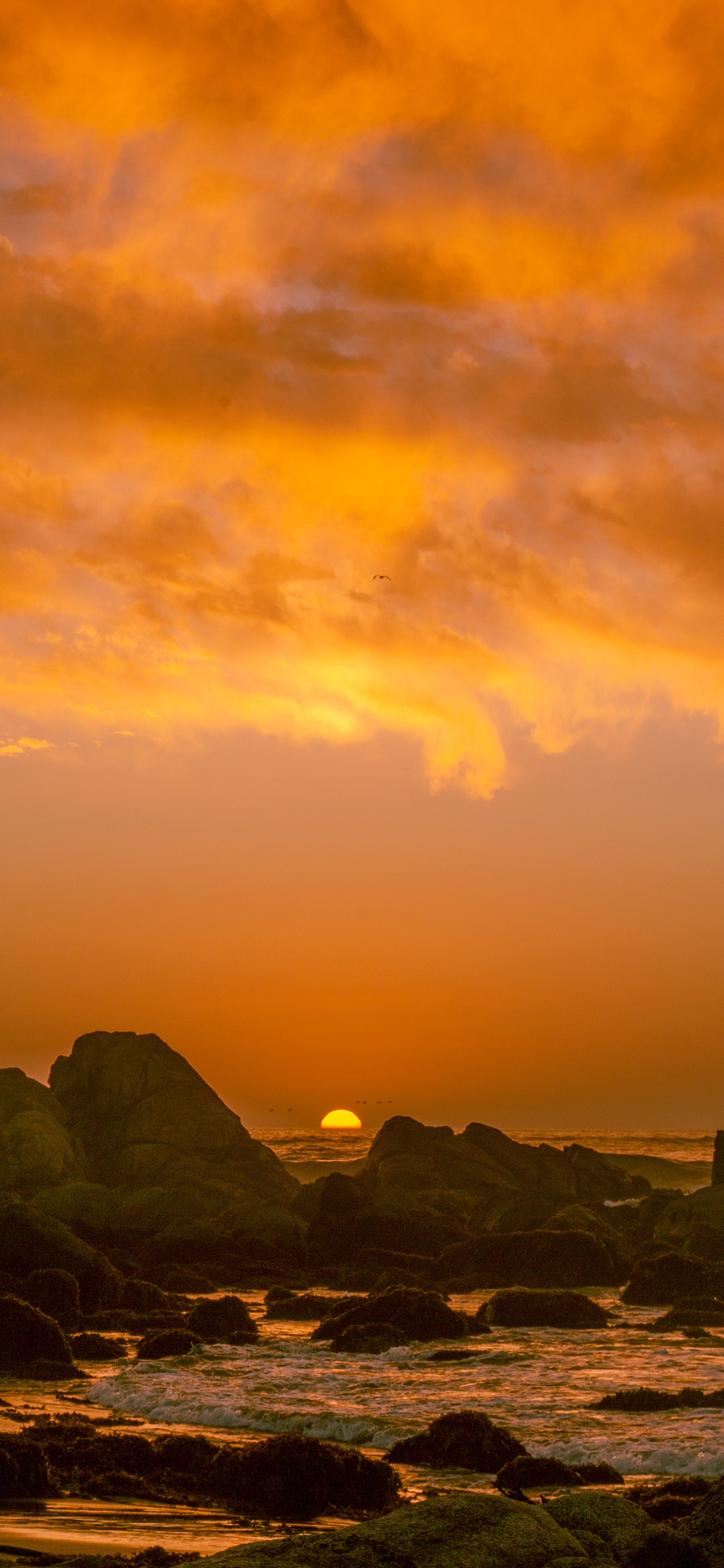 [2436×1125]大海 岩石 夕阳 落日 美景 唯美 苹果手机壁纸图片