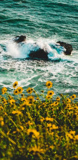 [2436x1125]大海 岩石 浪花 鲜花 苹果手机壁纸图片