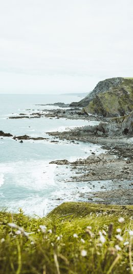 [2436x1125]大海 悬崖 海峡美景 白色小花 苹果手机壁纸图片