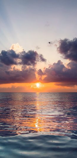 [2436x1125]大海 日出 唯美 阳光 苹果手机壁纸图片