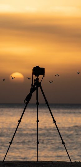 [2436x1125]大海 晚霞 落日 飞鸟 摄影 苹果手机壁纸图片