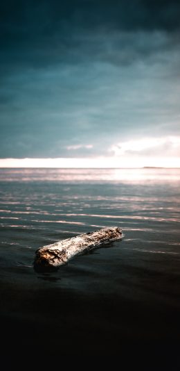 [2436x1125]大海 木头 树桩 漂浮 苹果手机壁纸图片