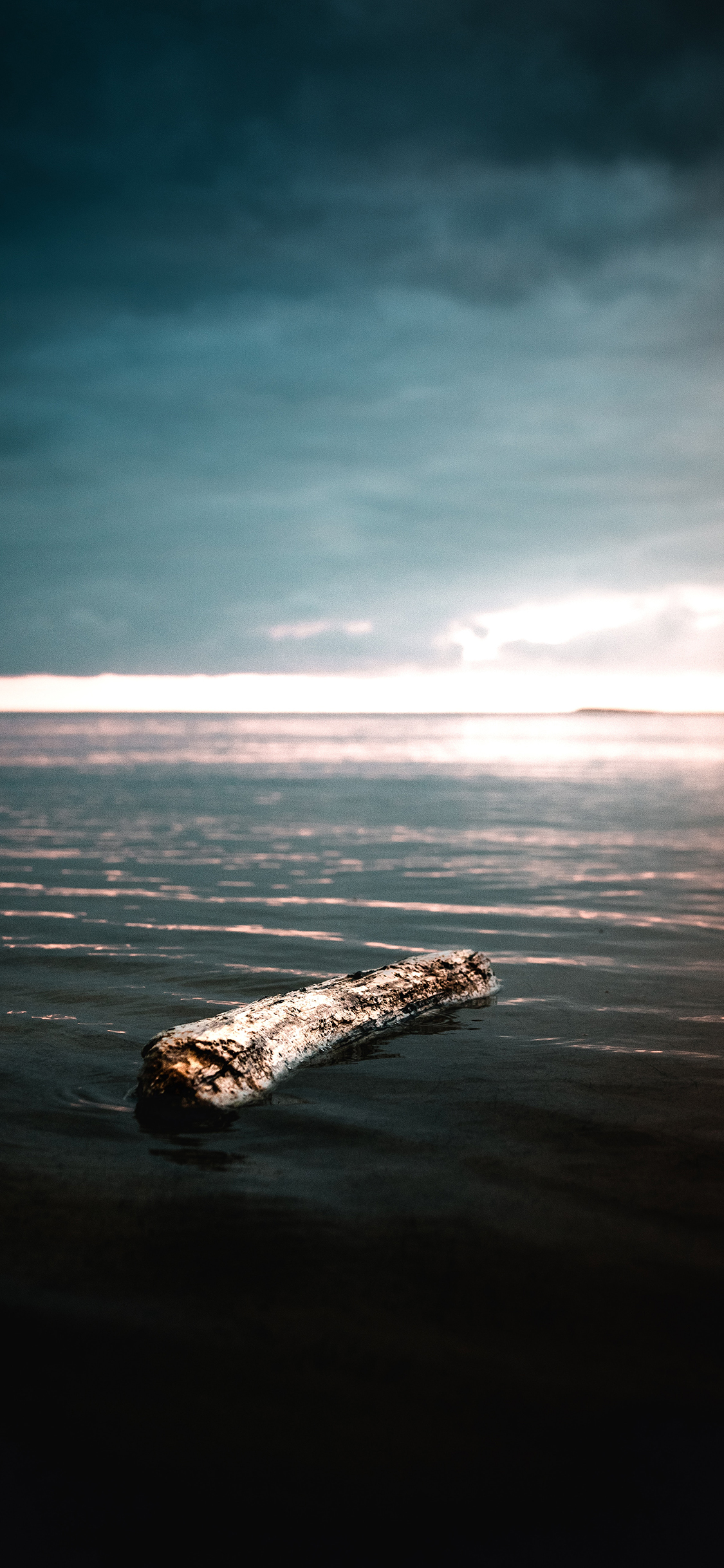 [2436×1125]大海 木头 树桩 漂浮 苹果手机壁纸图片