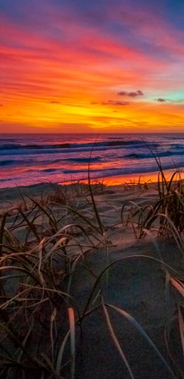 [2436x1125]大海 沙滩 夕阳 植株 美景 苹果手机壁纸图片