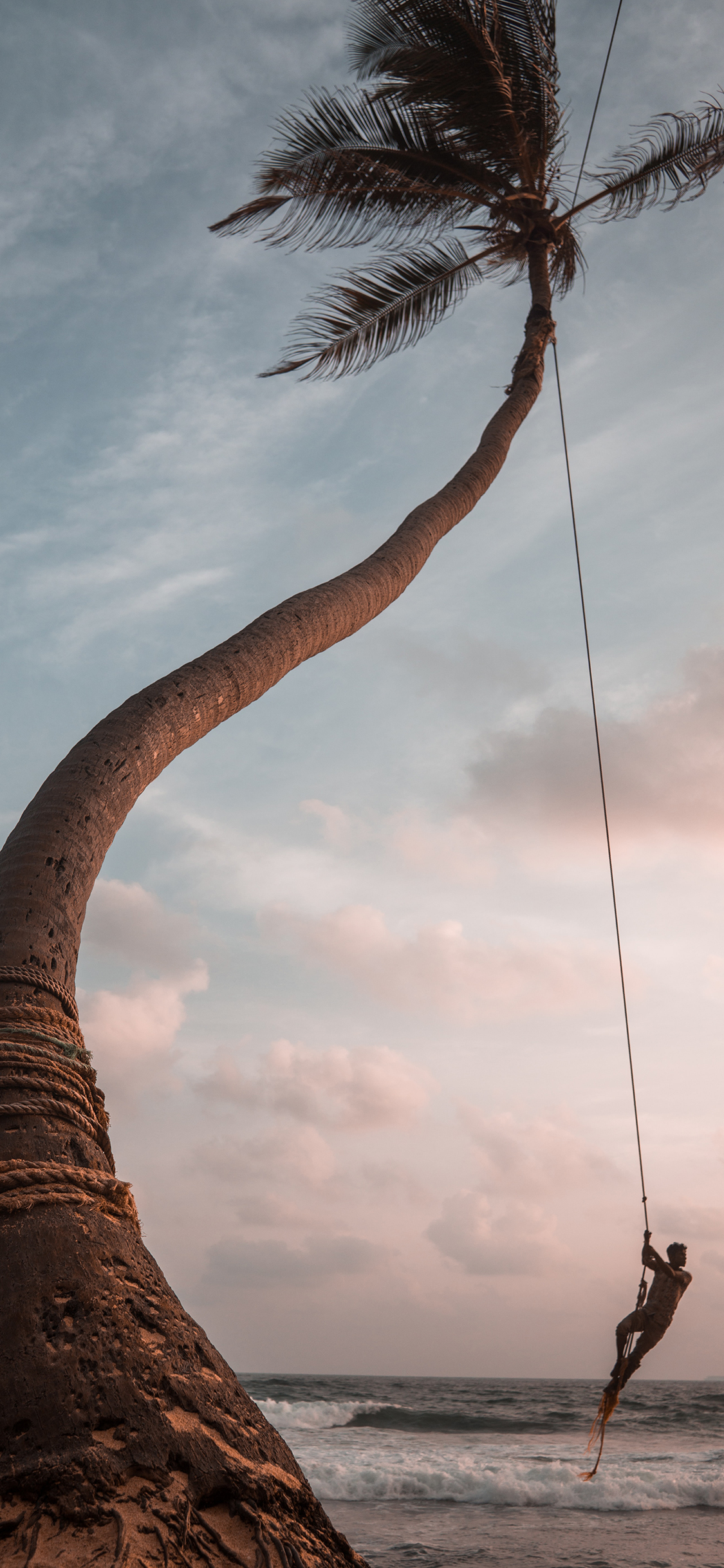 [2436×1125]大海 沙滩 椰树 海浪 休闲度假 苹果手机壁纸图片