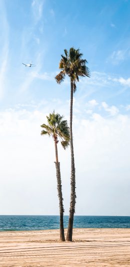[2436x1125]大海 沙滩 蓝天白云 椰树 苹果手机壁纸图片