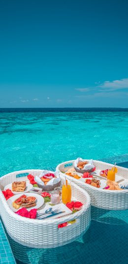 [2436x1125]大海 泳池 餐点 漂浮 苹果手机壁纸图片