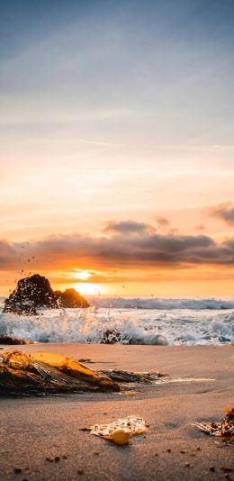 [2436x1125]大海 浪花 沙滩 夕阳 唯美 苹果手机壁纸图片