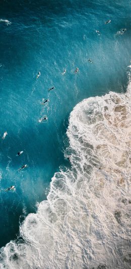 [2436x1125]大海 浪花 游泳 航拍 苹果手机壁纸图片
