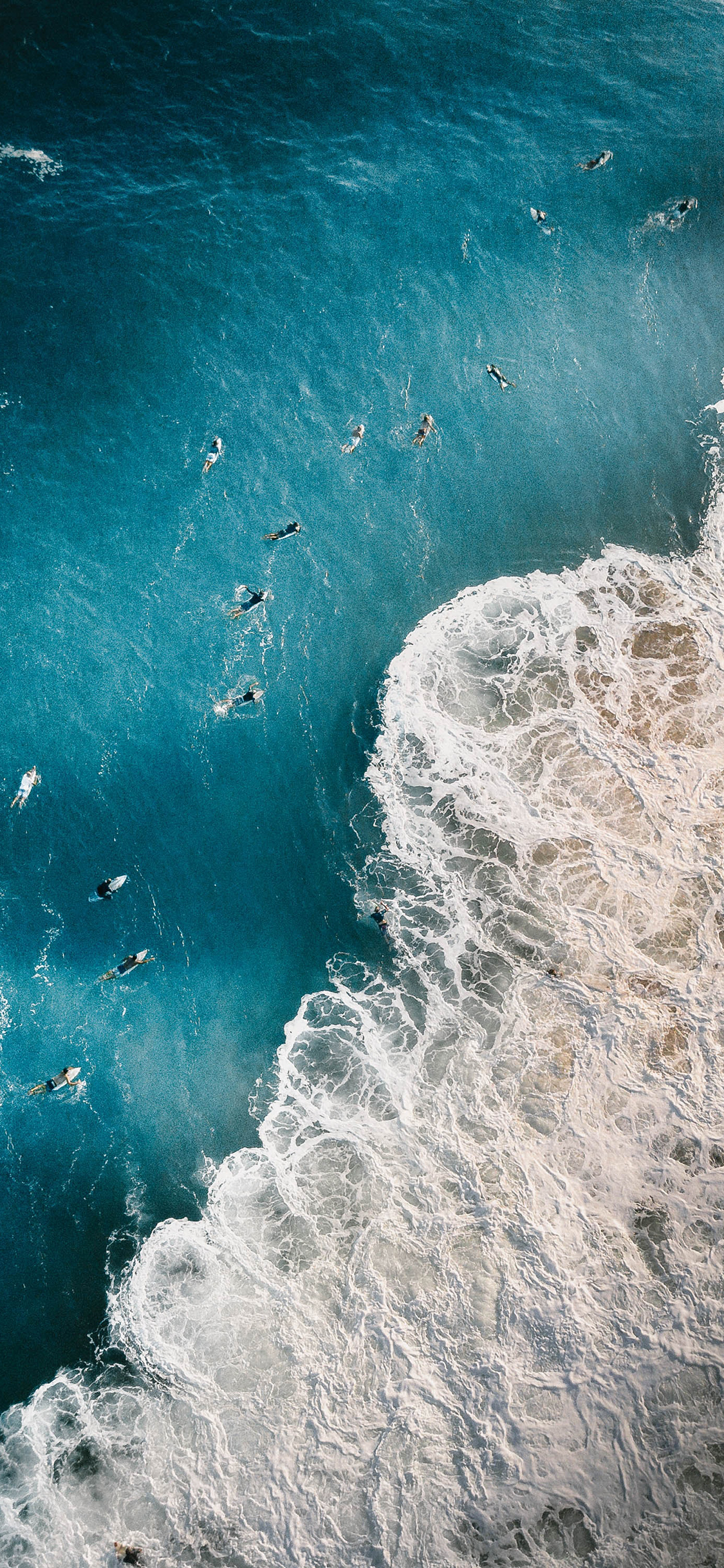 [2436×1125]大海 浪花 游泳 航拍 苹果手机壁纸图片