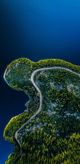 [2436x1125]大海 海岸 树木 蓝色 苹果手机壁纸图片