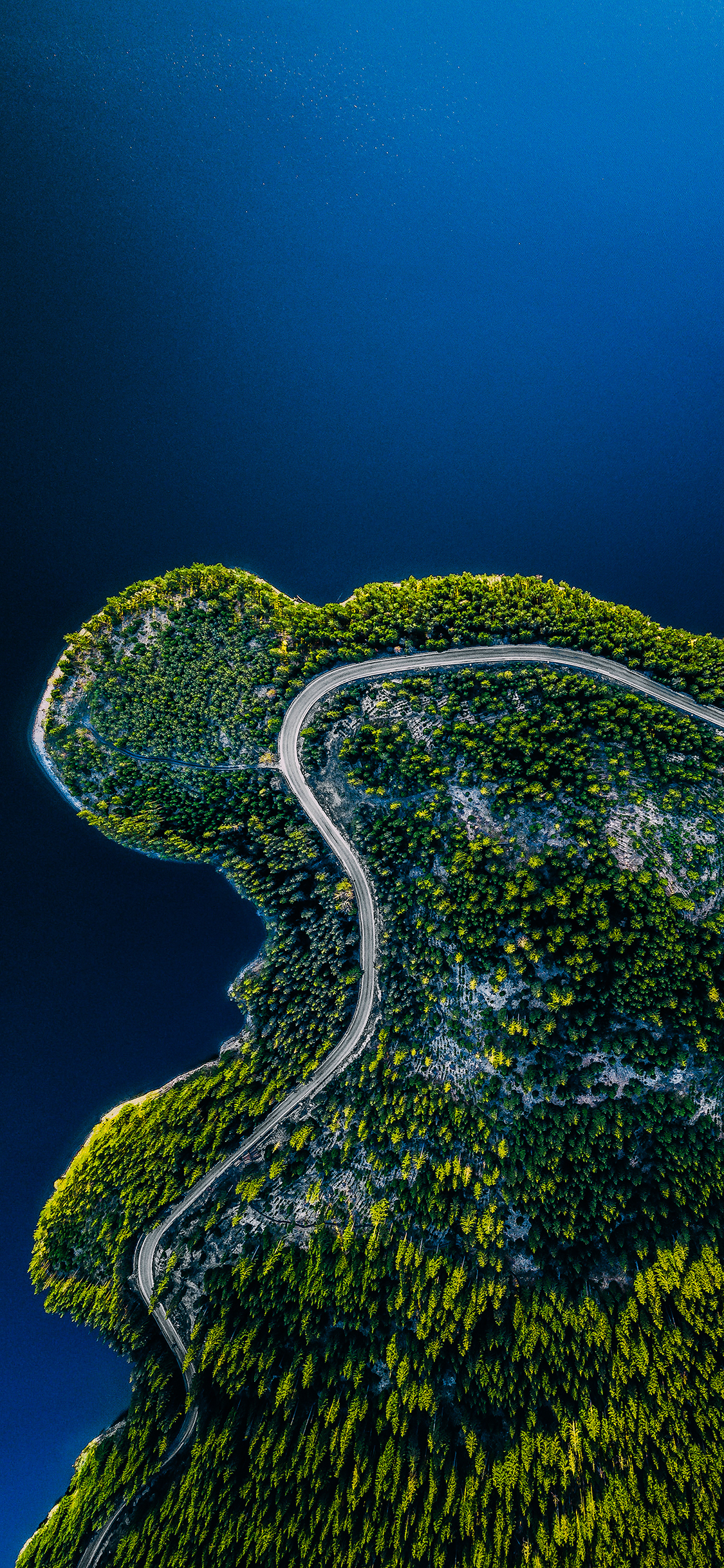 [2436×1125]大海 海岸 树木 蓝色 苹果手机壁纸图片
