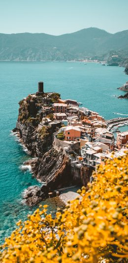 [2436x1125]大海 海峡 建筑 美景 鲜花 苹果手机壁纸图片