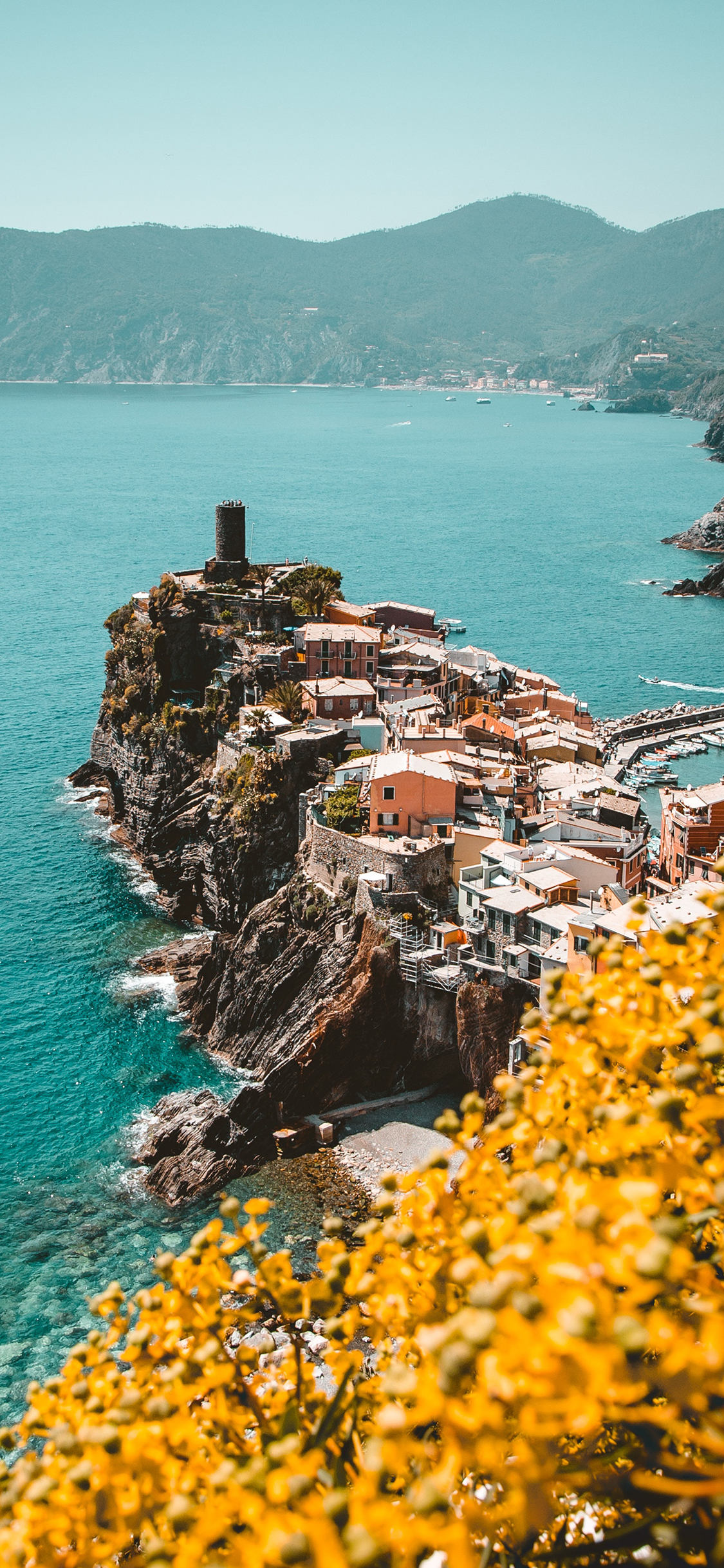 [2436×1125]大海 海峡 建筑 美景 鲜花 苹果手机壁纸图片