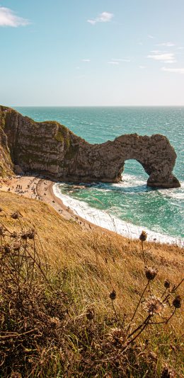 [2436x1125]大海 海峡 海滩 绿植 苹果手机壁纸图片