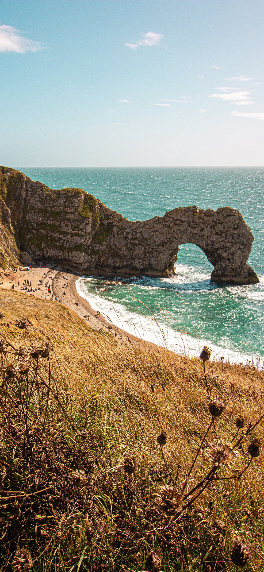 [2436×1125]大海 海峡 海滩 绿植 苹果手机壁纸图片
