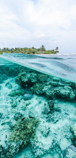 [2436x1125]大海 海平面 海底 唯美 苹果手机壁纸图片