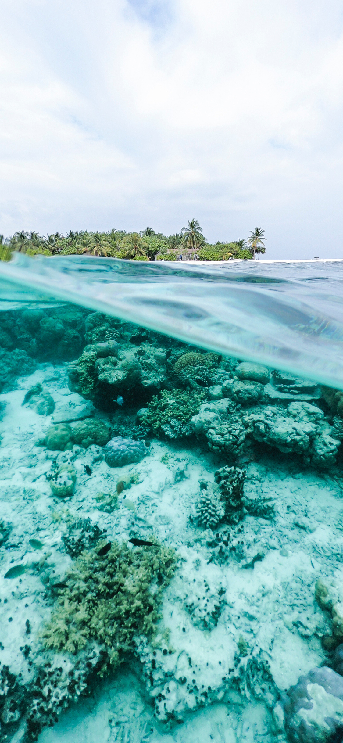 [2436×1125]大海 海平面 海底 唯美 苹果手机壁纸图片