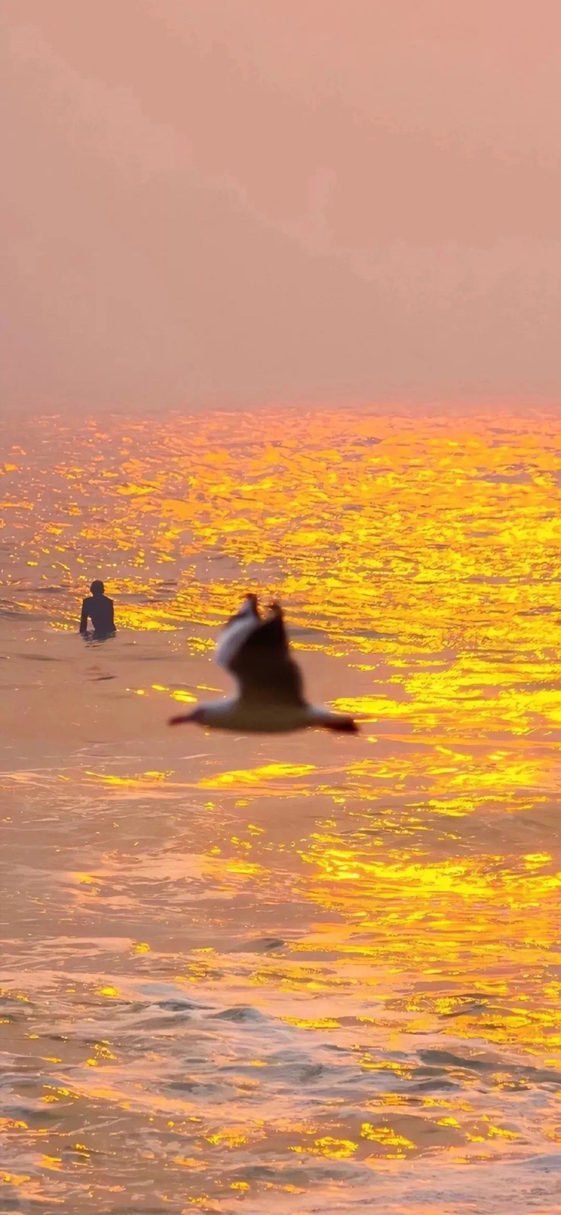 [2436×1125]大海 海景 晚霞 唯美 苹果手机壁纸图片
