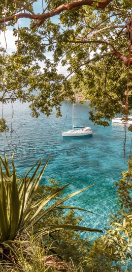 [2436x1125]大海 海水 船只 树木 苹果手机壁纸图片