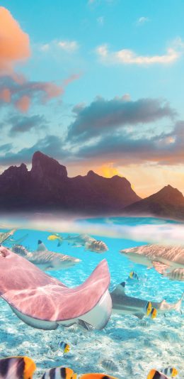 [2436x1125]大海 海洋生物 鱼类 海天 山体 天空 苹果手机壁纸图片