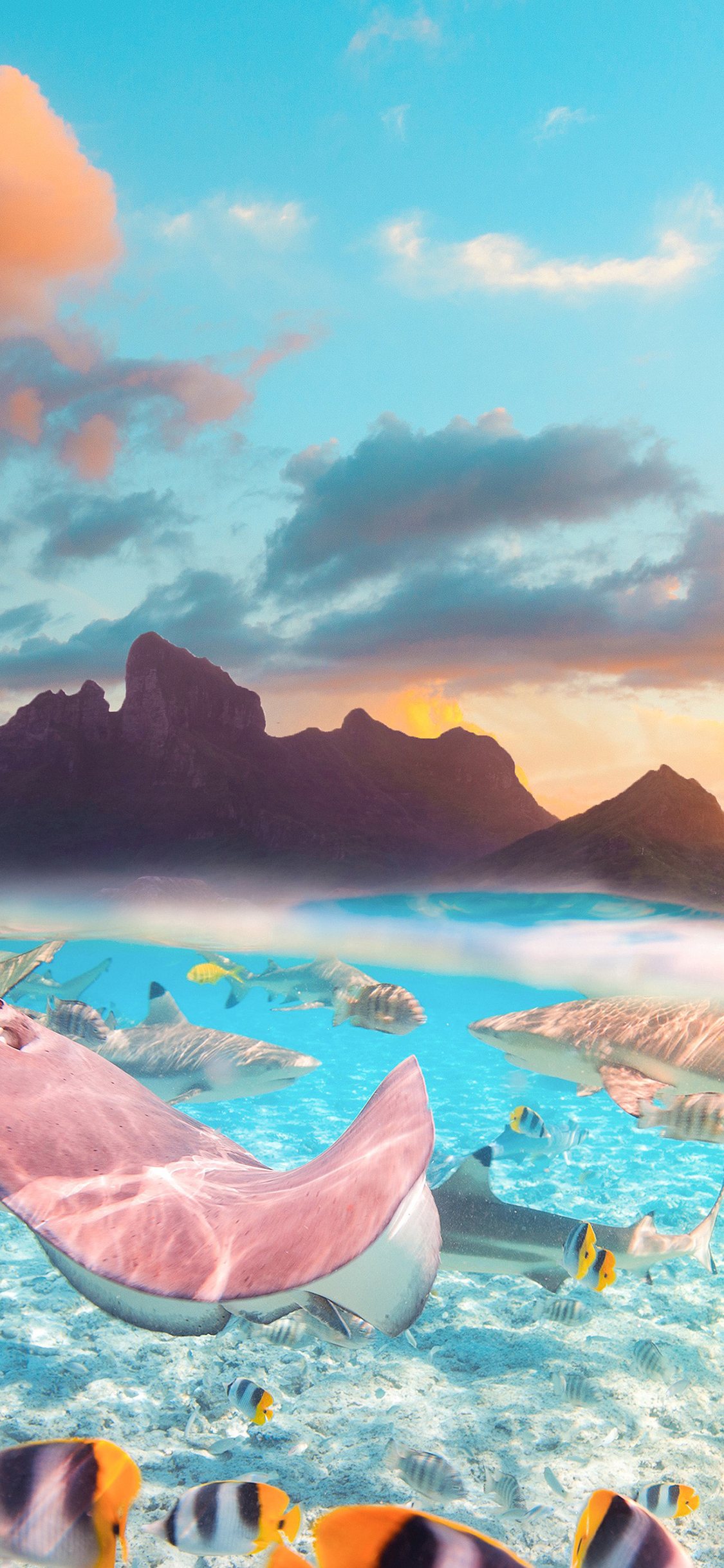 [2436×1125]大海 海洋生物 鱼类 海天 山体 天空 苹果手机壁纸图片