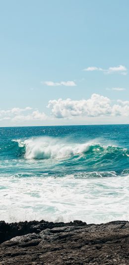 [2436x1125]大海 海浪 海岸 波浪 苹果手机壁纸图片