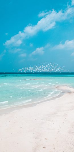 [2436x1125]大海 海滩 蓝天白云 风景 苹果手机壁纸图片