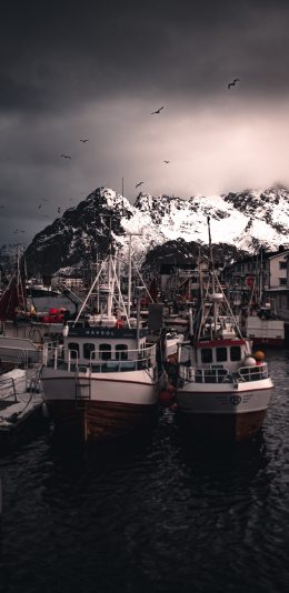 [2436x1125]大海 港口 船只 轮船 苹果手机壁纸图片