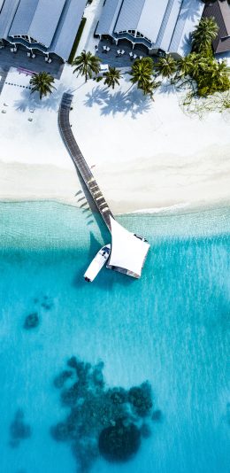 [2436x1125]大海 湛蓝 度假村 沙滩 苹果手机壁纸图片