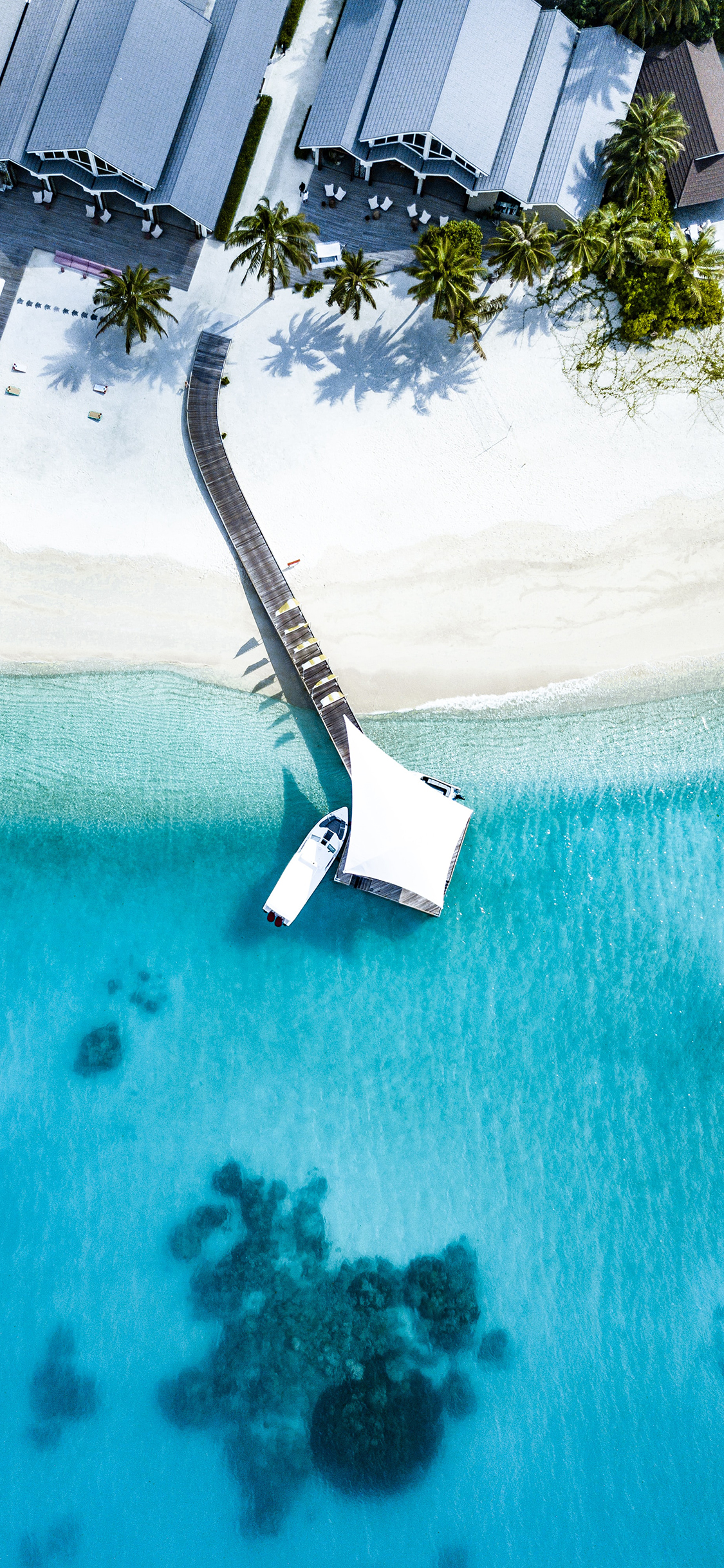 [2436×1125]大海 湛蓝 度假村 沙滩 苹果手机壁纸图片