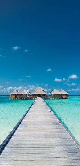 [2436x1125]大海 湛蓝 木桥 亭子 休闲度假 苹果手机壁纸图片