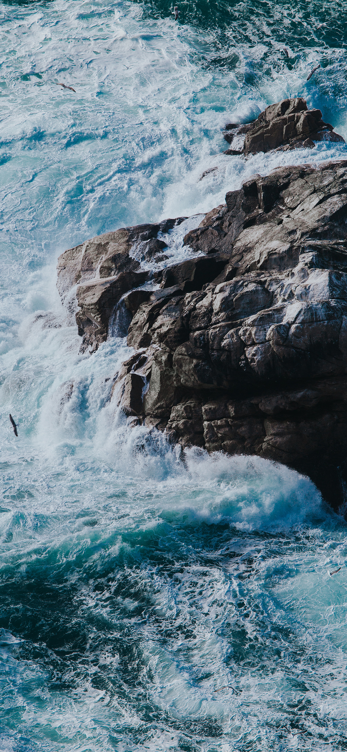 [2436×1125]大海 礁石 海浪 风景 苹果手机壁纸图片