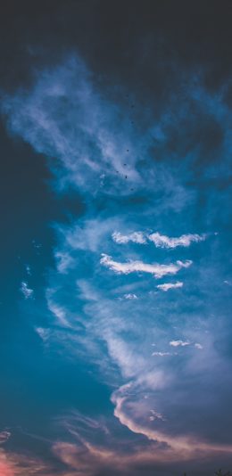 [2436x1125]天空 云彩 渐变 飞鸟 苹果手机壁纸图片