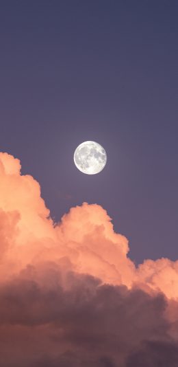 [2436x1125]天空 夜空 夜晚 月亮 云朵 圆月 苹果手机壁纸图片