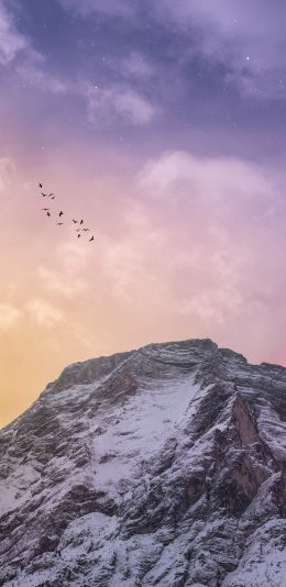 [2436x1125]天空 山峰 雪山 飞鸟 苹果手机壁纸图片