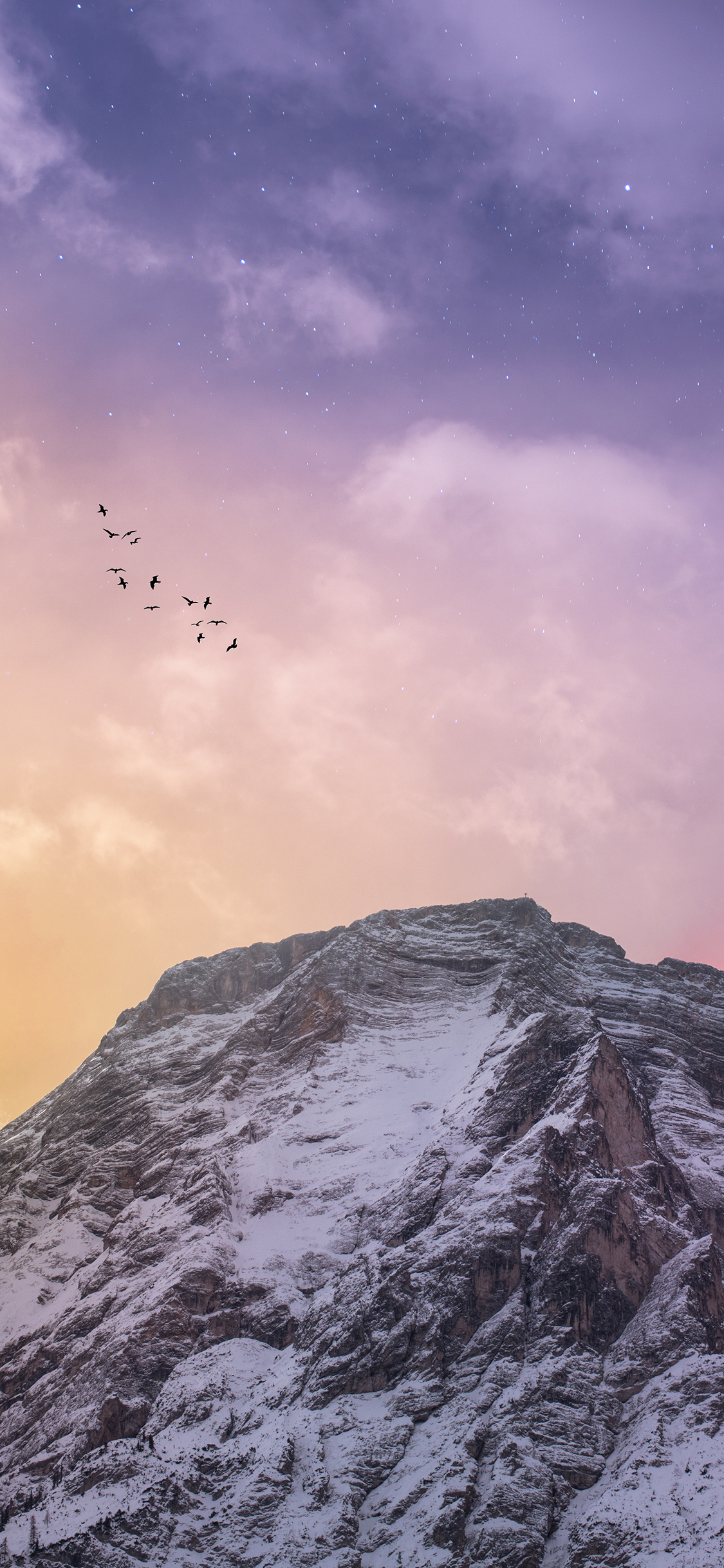 [2436×1125]天空 山峰 雪山 飞鸟 苹果手机壁纸图片