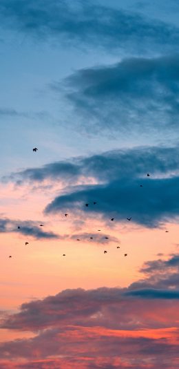[2436x1125]天空 彩霞 云朵 夕阳 苹果手机壁纸图片