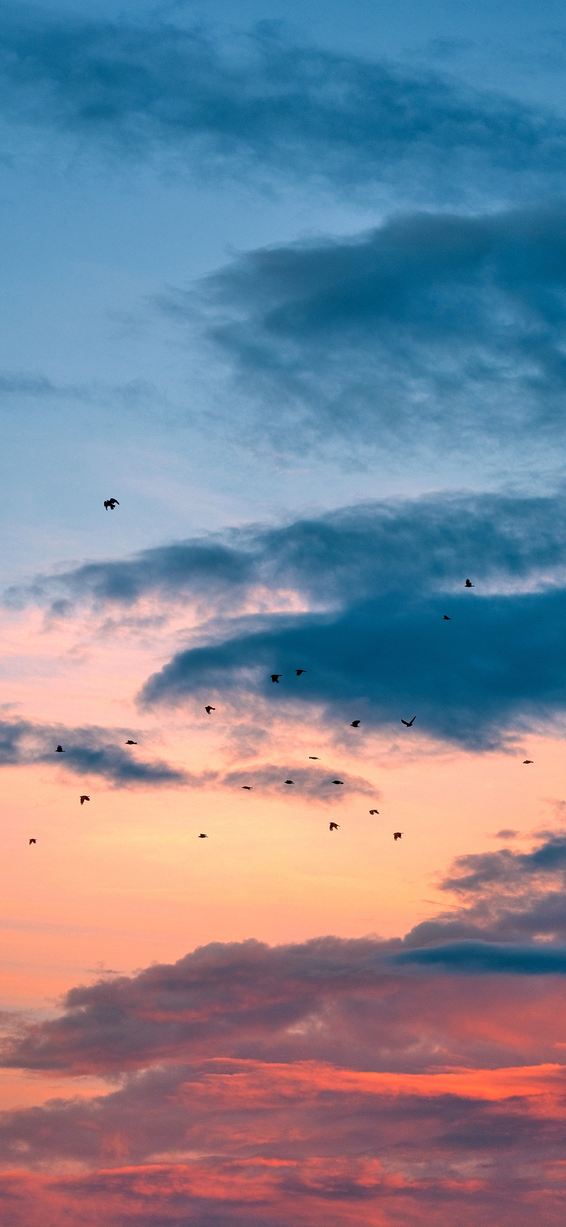 [2436×1125]天空 彩霞 云朵 夕阳 苹果手机壁纸图片